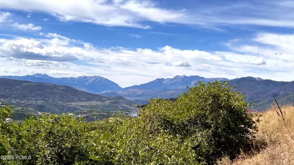 Hideout, UT 84036,2097 E Peak View DR Drive #386