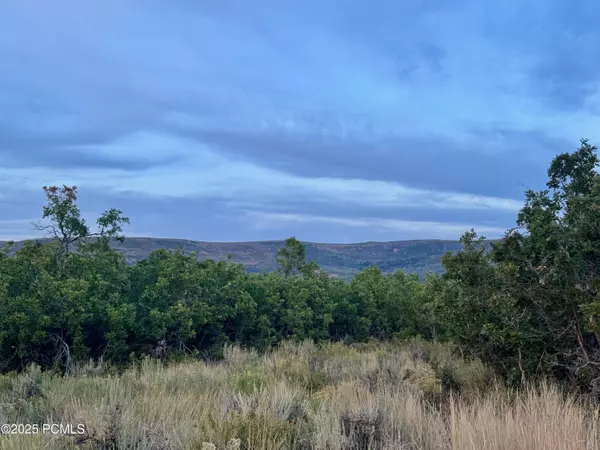 Heber City, UT 84032,9195 Deer Creek DR Drive