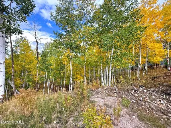 Heber City, UT 84032,4519 S Fawn WAY Way
