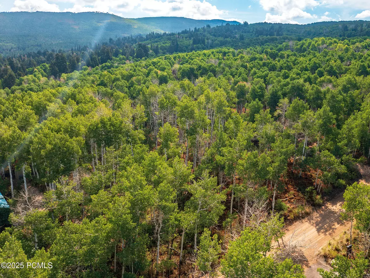 Heber City, UT 84032,2919 Green Briar WAY Way
