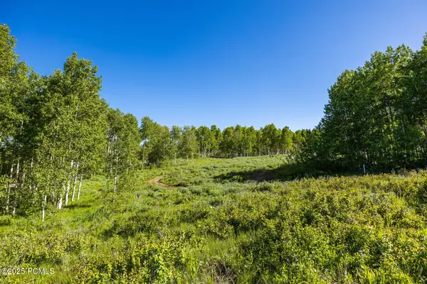Heber City, UT 84032,11616 Cliffrose DR Drive