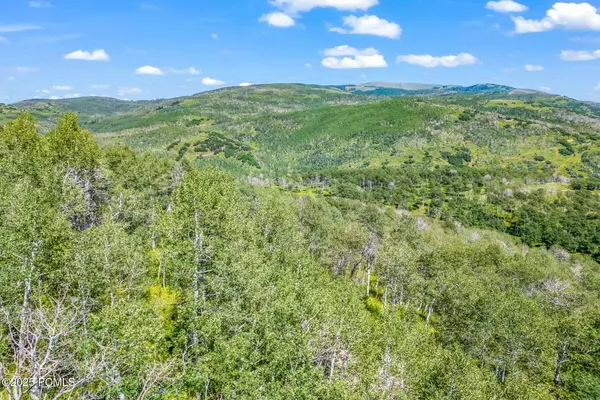 11708 Canyon Rim RD Road, Oakley, UT 84055