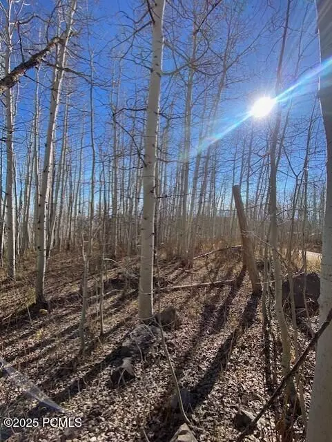 2307 S Aspen Ridge DR Drive #Pi-G-9, Coalville, UT 84017