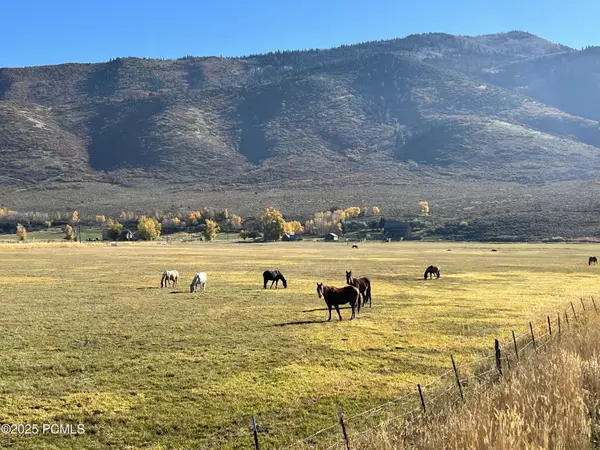 Kamas, UT 84036,984 E Boulderville RD Road