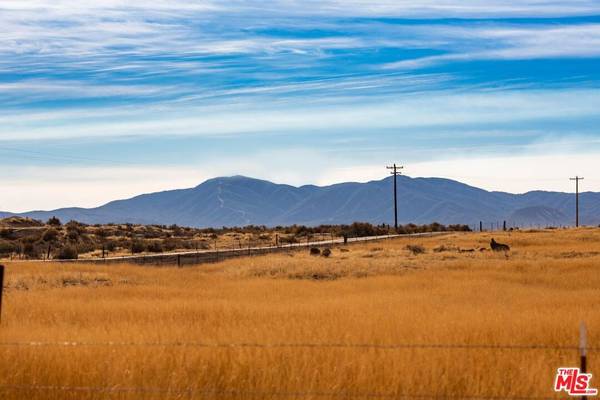 New Cuyama, CA 93254,166 Russell Ranch HWY