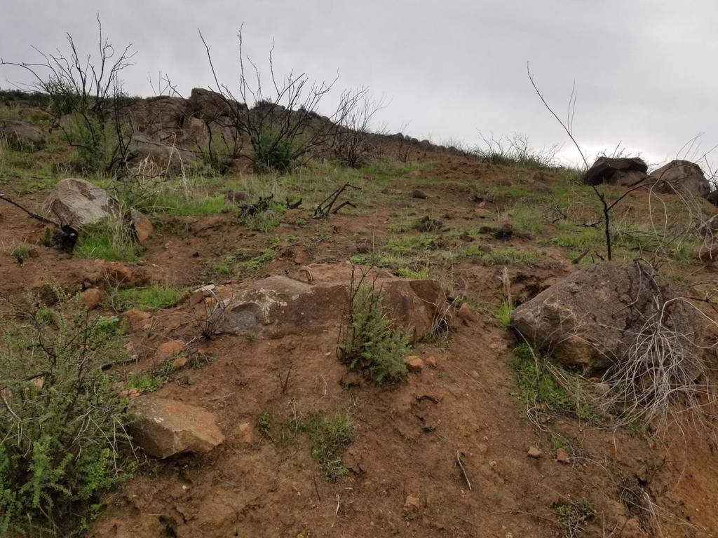 Winchester, CA 92596,4 .63 Ac Murillo RD