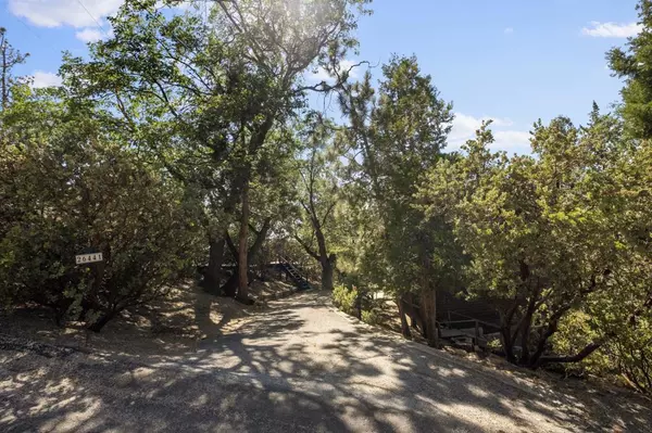 Idyllwild, CA 92549,26441 Forest Hill DR