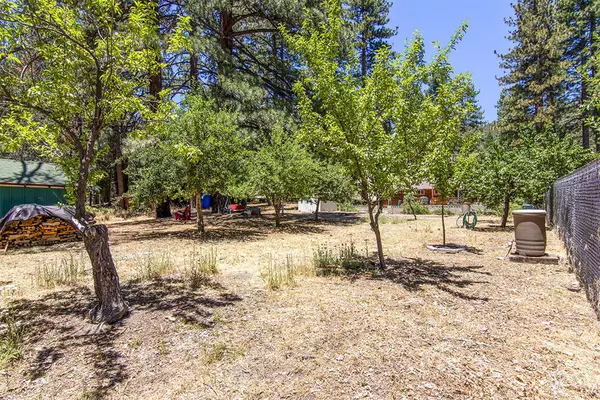 Idyllwild, CA 92549,53425 Sherman DR