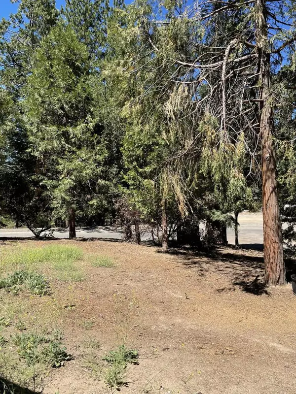 Idyllwild, CA 92549,52559 Green Craig DR