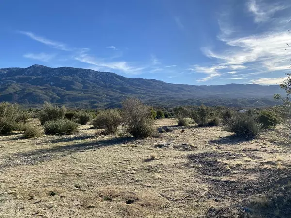 Mountain Center, CA 92561,0 Reisling Way