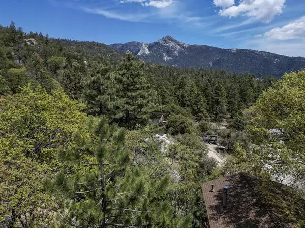 Idyllwild, CA 92549,25006 Knob Hill RD