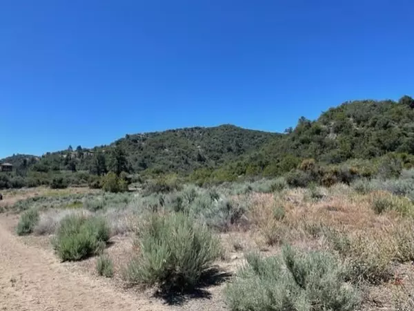 Mountain Center, CA 92561,Lot 41 Devils Ladder RD