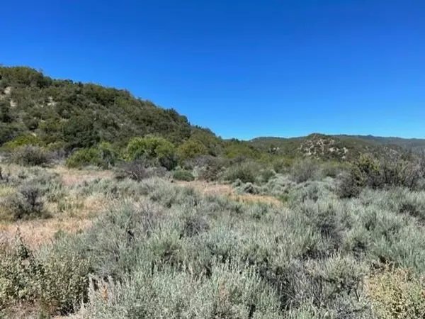 Mountain Center, CA 92561,Lot 41 Devils Ladder RD
