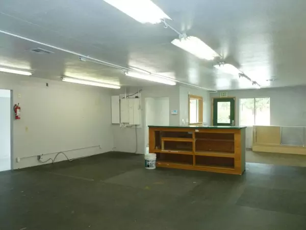 Big Bear, CA 92315,558 Wren DR