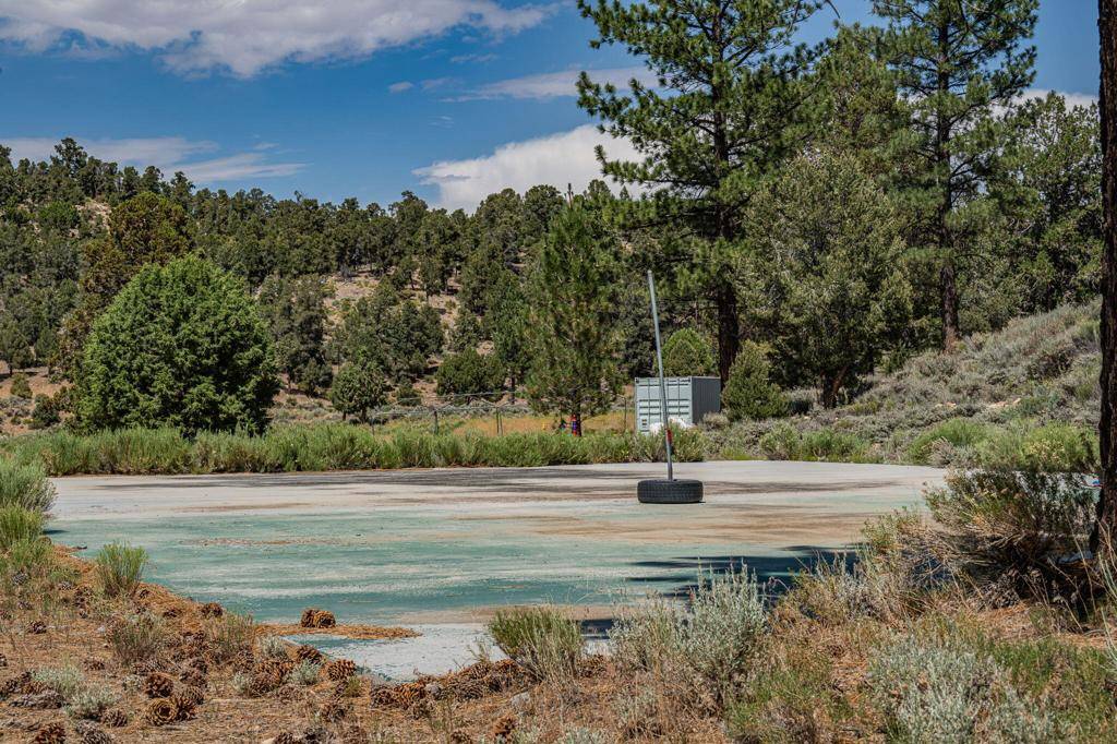 Big Bear, CA 92315,550 Eagle Ridge DR