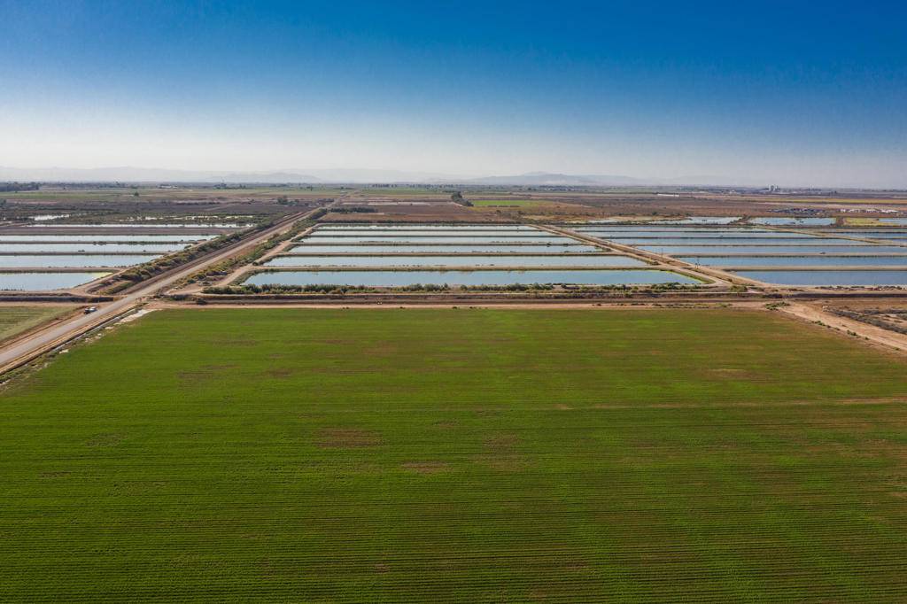 194 Harris RD, Imperial, CA 92251