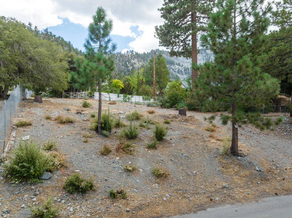 5240 Desert View DR,  Wrightwood,  CA 92397