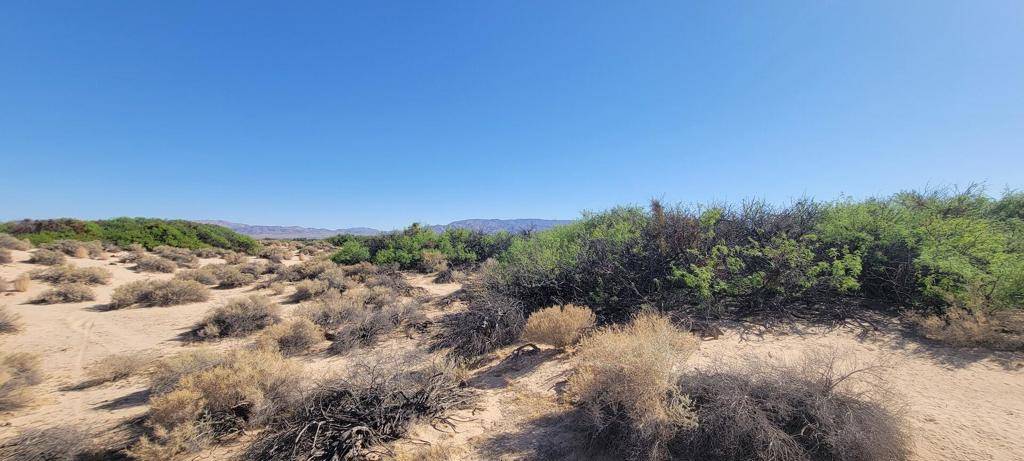 29 Palms, CA 92277,1655 La Buena Tierra AVE