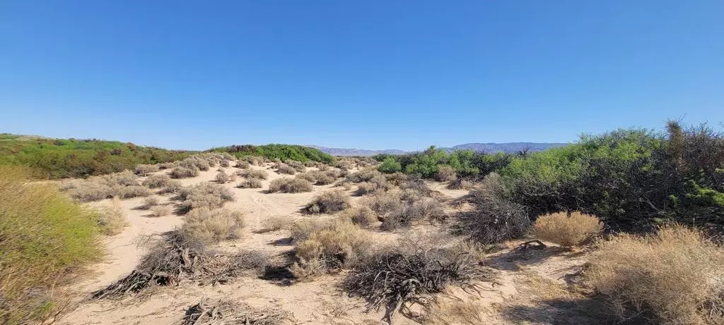 1655 La Buena Tierra AVE, 29 Palms, CA 92277