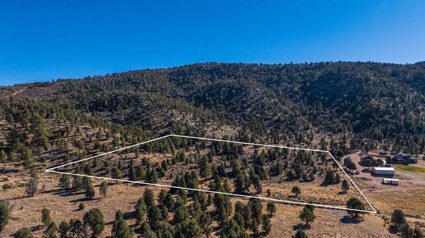 Big Bear, CA 92314,3700 State LN