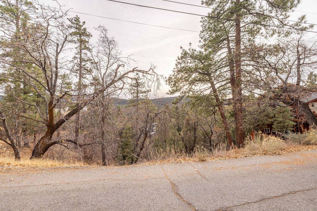 Big Bear, CA 92315,724 Menlo DR