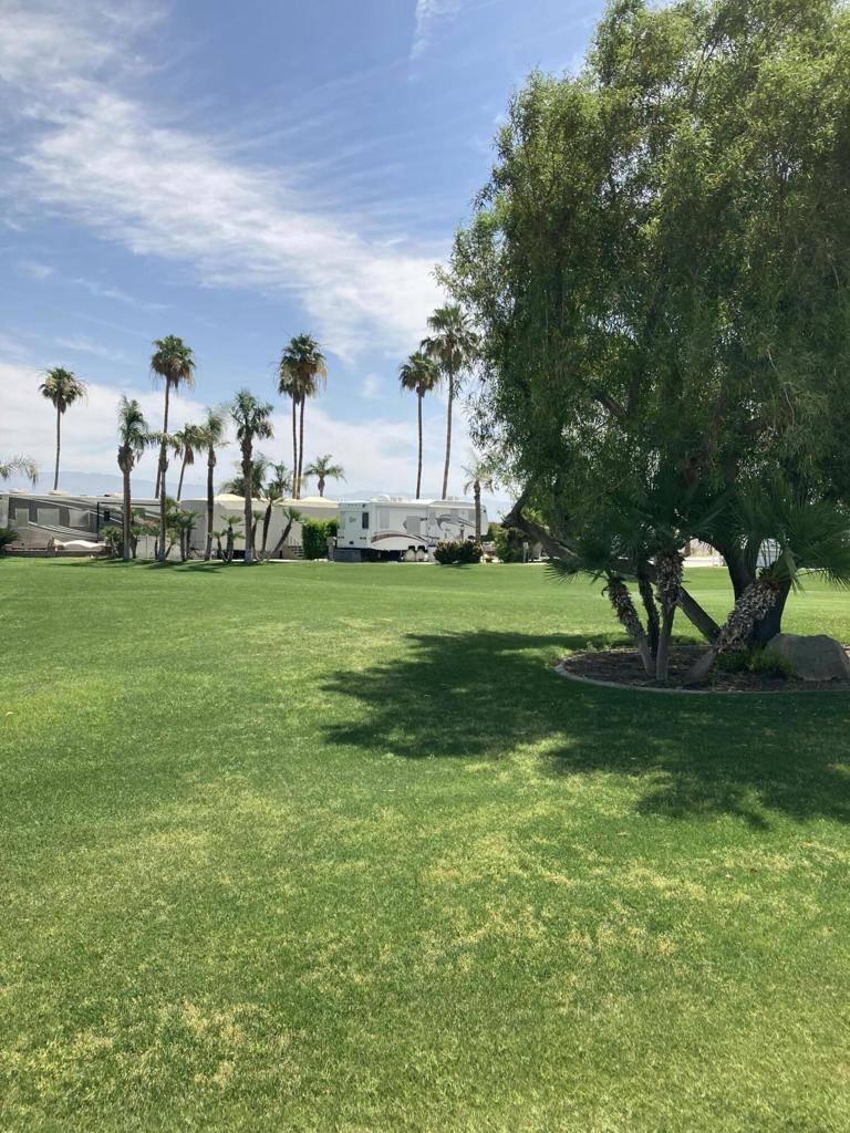 Cathedral City, CA 92234,69411 Ramon RD #1212