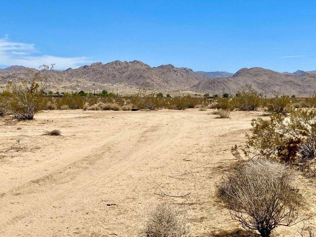 Joshua Tree, CA 92252,117 Border RD