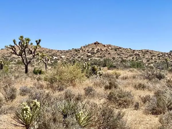 Pioneertown, CA 92268,2554 Apache Pass