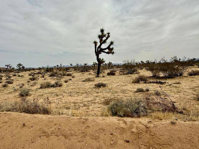 Yucca Valley, CA 92284,0 Drexel DR
