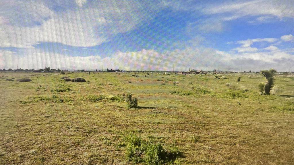 Phelan, CA 92371,8485 White Fox TRL