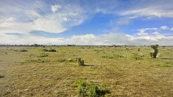 Phelan, CA 92371,8485 White Fox TRL