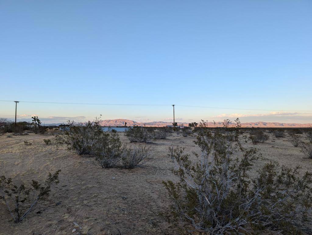 Landers, CA 92285,0 Bellwether