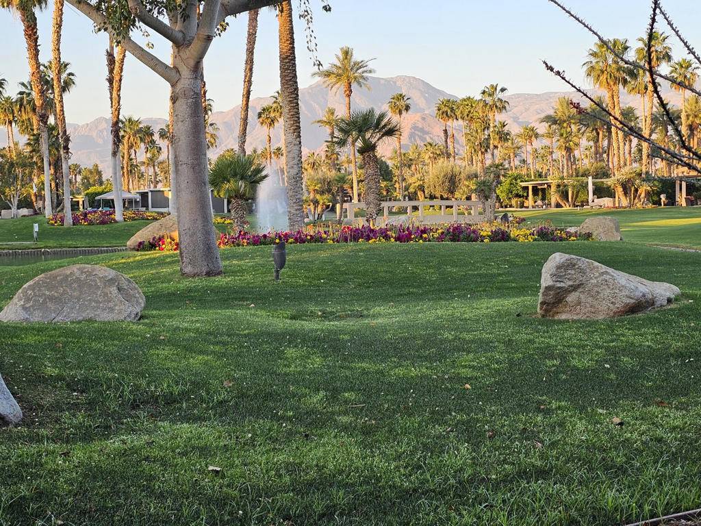 Indio, CA 92201,80394 Avenue 48 #234