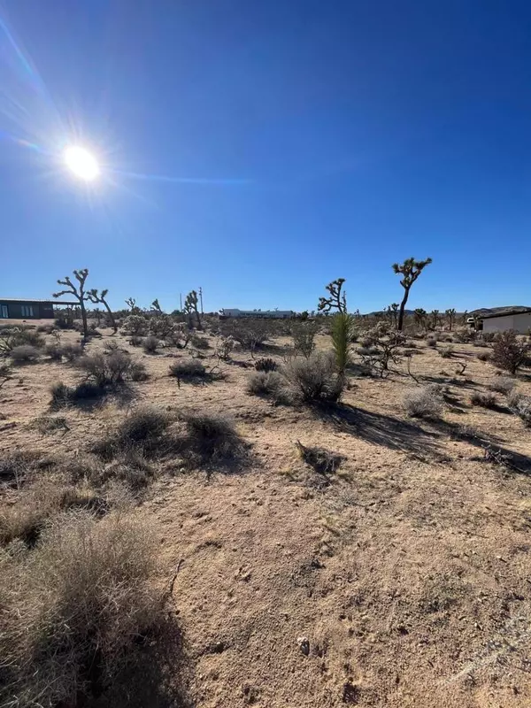 Joshua Tree, CA 92252,0 Saddleback RD