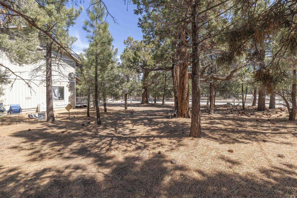 Big Bear, CA 92314,973 Cypress LN