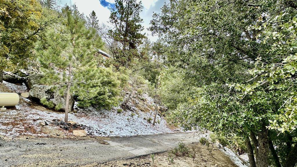 Idyllwild, CA 92549,0 Cougar RD