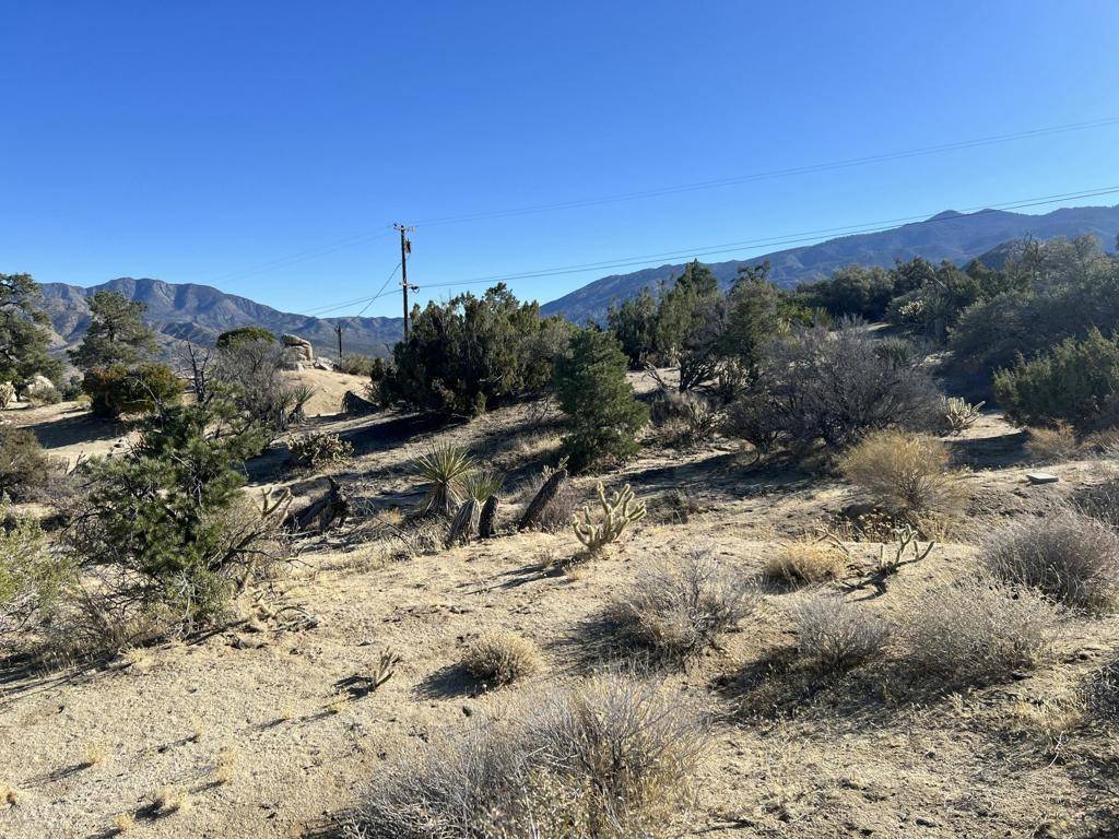 Mountain Center, CA 92561,78 Sun TER