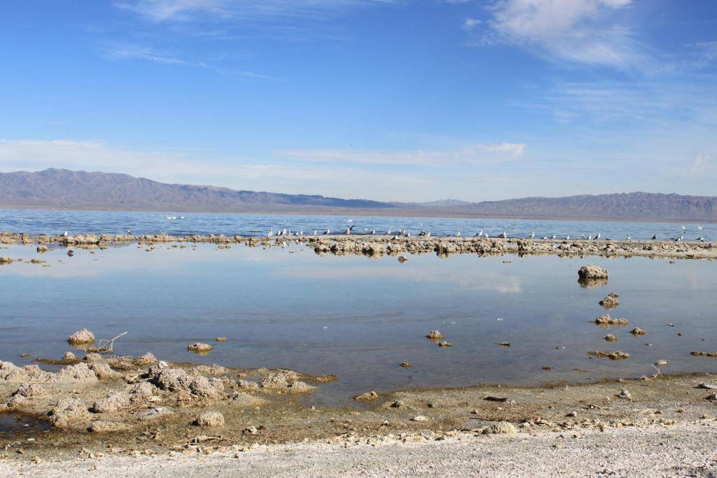 Thermal, CA 92274,2467 Sea Gull AVE