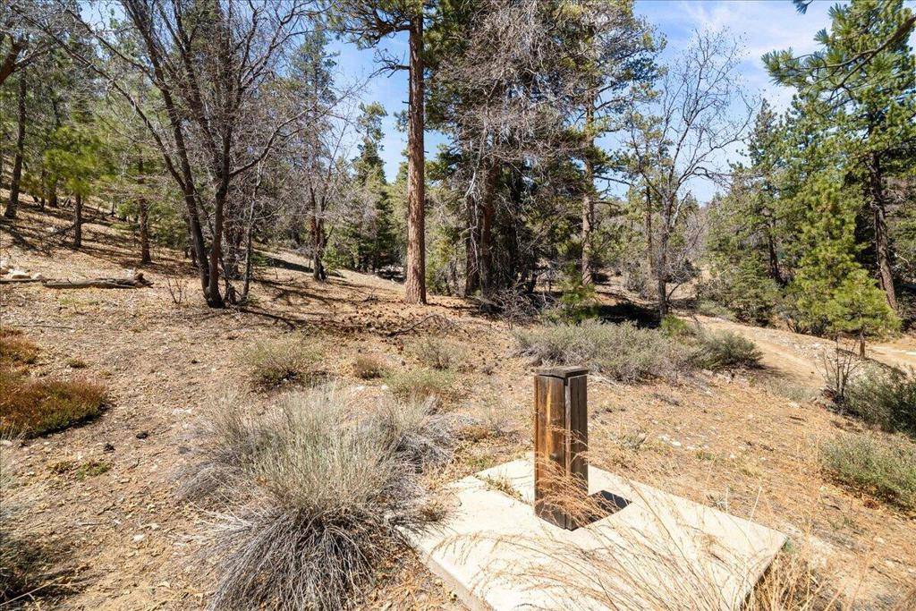 Fawnskin, CA 92333,1286 Fawnskin DR