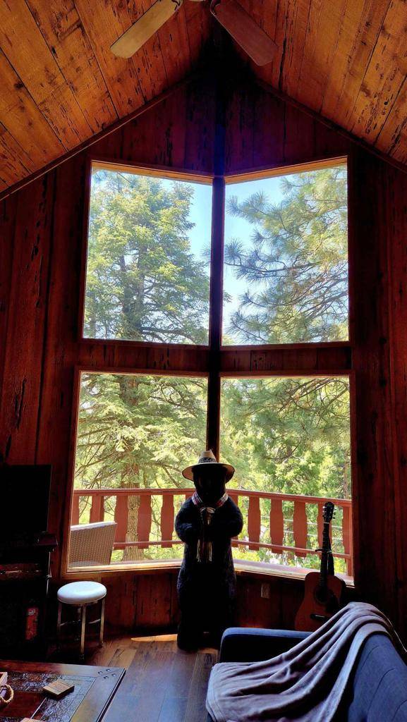 Idyllwild, CA 92549,25390 Shadow Oaks