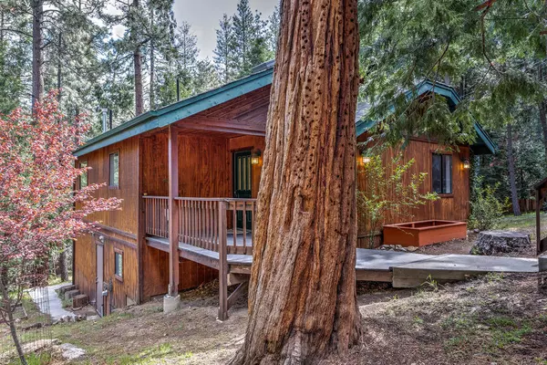 Idyllwild, CA 92549,53962 Marian View DR