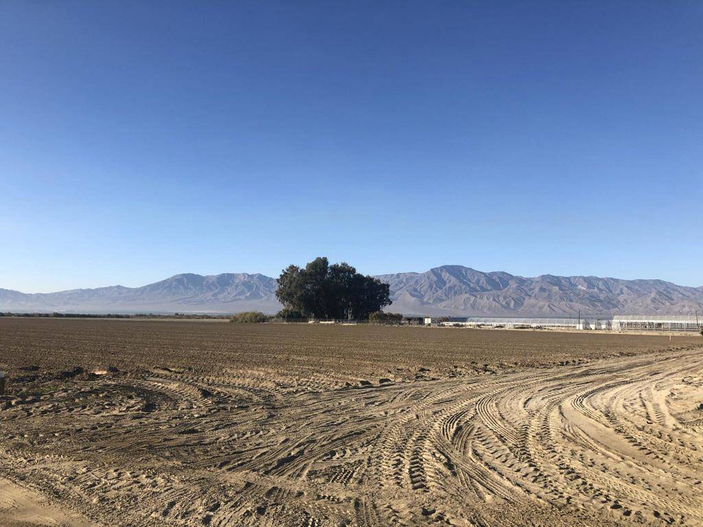 Mecca, CA 92254,93751 71st Ave