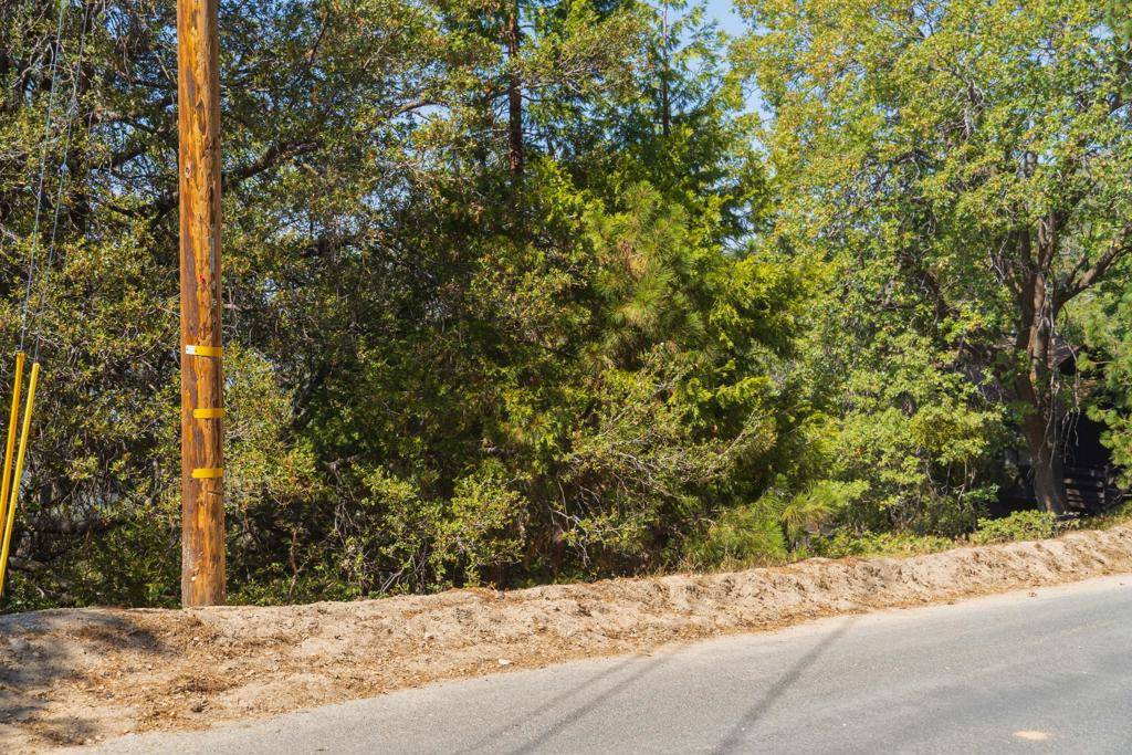 Crestline, CA 92325,0 Chillon DR
