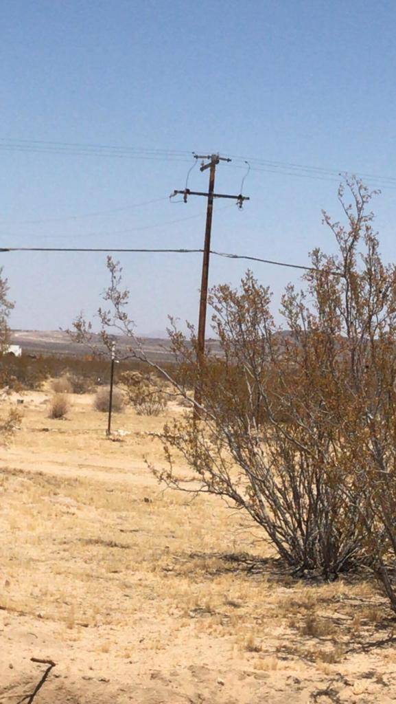 Joshua Tree, CA 92252,5425 California AVE