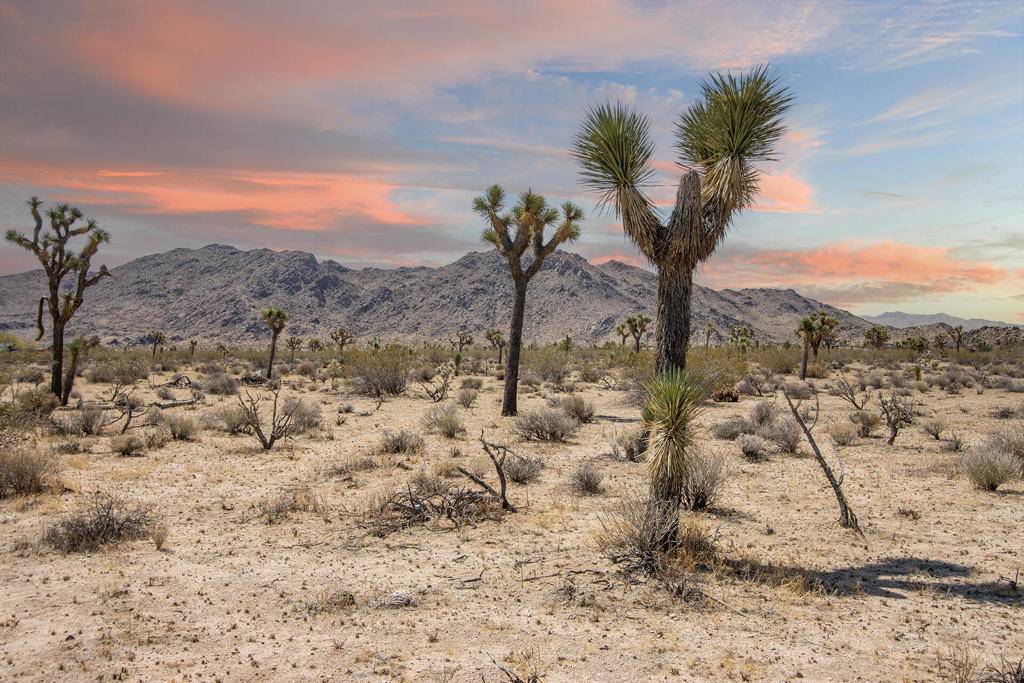 124 Drexel RD, Joshua Tree, CA 92252