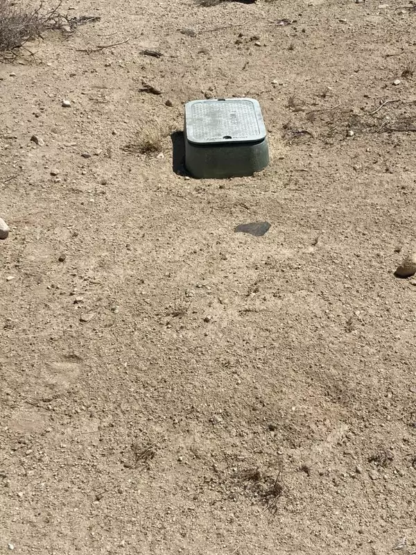 Joshua Tree, CA 92252,0 Mars RD