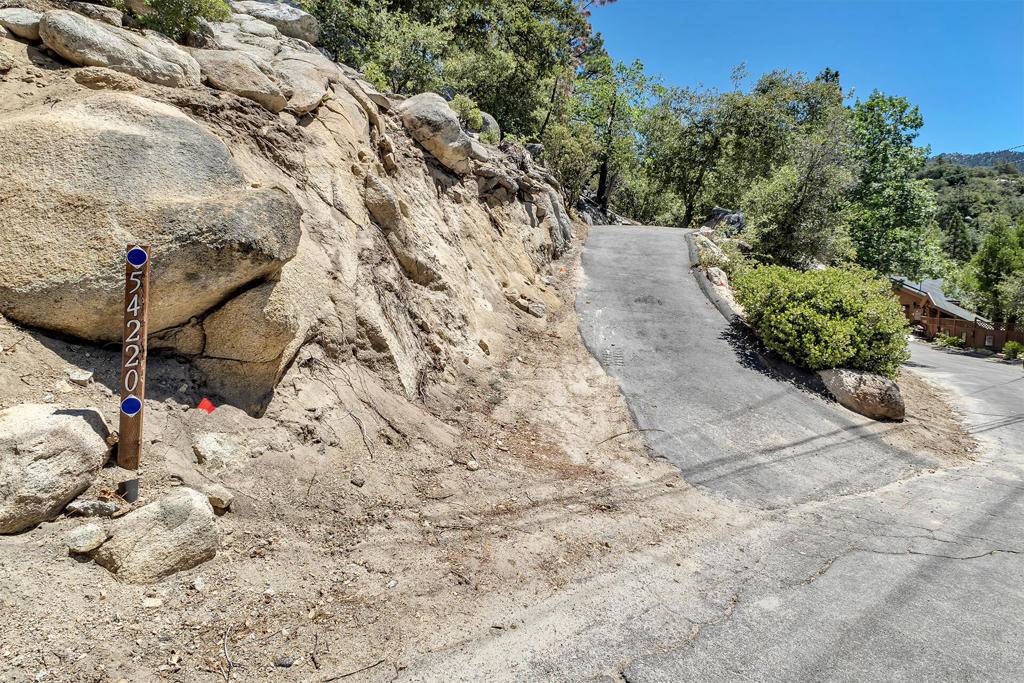 Idyllwild, CA 92549,54220 Northridge DR