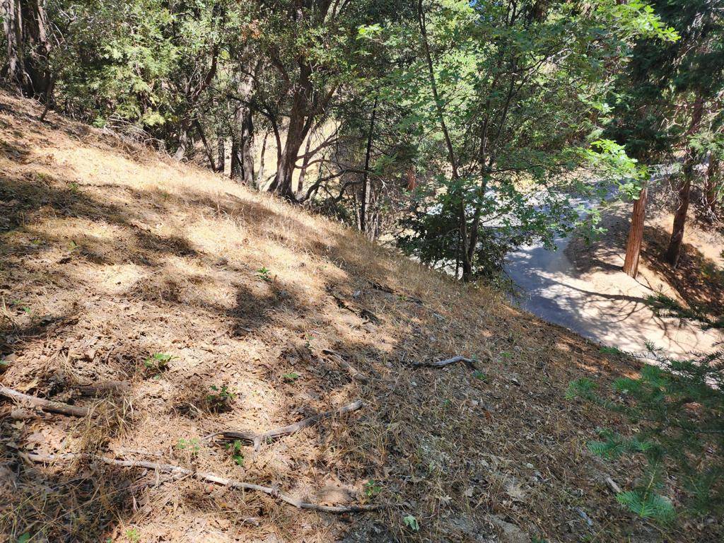 Crestline, CA 92325,0 Edelweiss DR