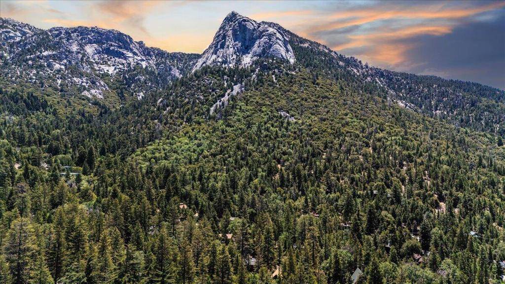 Idyllwild, CA 92549,24680 Fern Valley RD