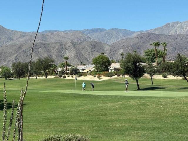 81343 Ulrich DR, La Quinta, CA 92253